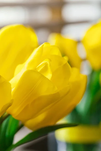 Zamknij obraz żółtego tulipana. Kreatywne zdjęcie. — Zdjęcie stockowe