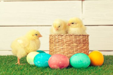 Yeşil çimlerde Paskalya yumurtası ve tavukları