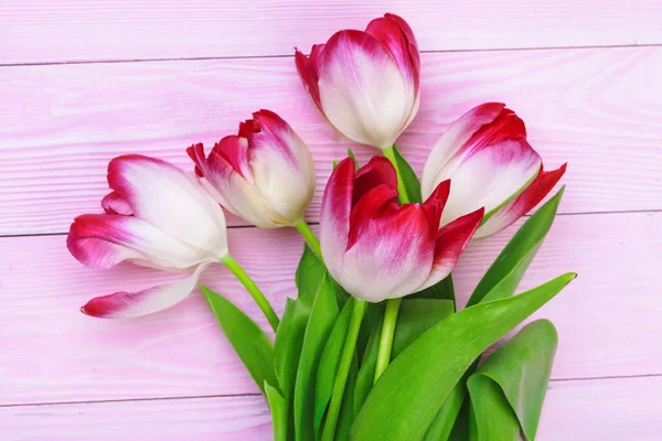 Świeże tulipany pęczek na pastelowe różowe tło — Zdjęcie stockowe