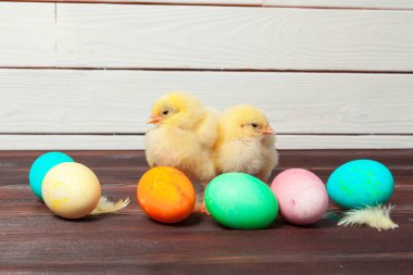 Tahta masada paskalya yumurtası taşıyan piliç.