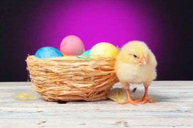 Tahta masada paskalya yumurtası taşıyan piliç.