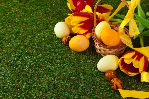 Ovos de Páscoa com flor na grama verde — Fotografia de Stock