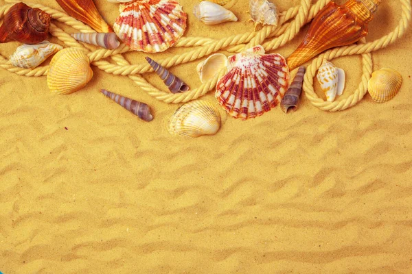 Seashells on sand. Sea summer vacation background — Stock Photo, Image