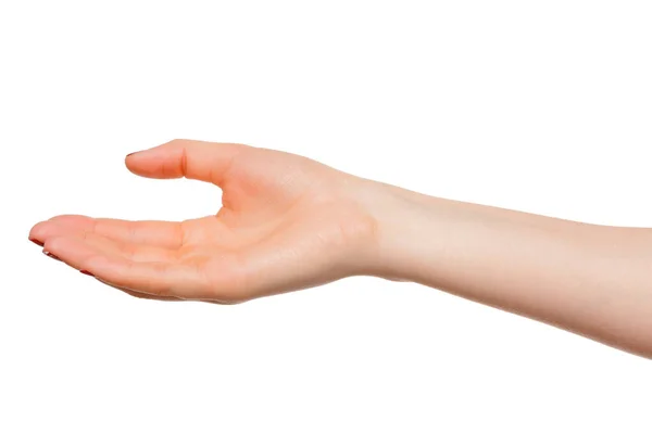 Mãos tomar gesto de palma aberta para segurar em fundos brancos, isolado — Fotografia de Stock