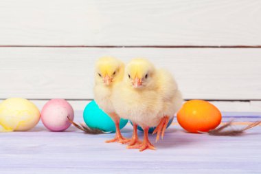 Ahşap masada paskalya yumurtası taşıyan piliç. Yaratıcı fotoğraf.