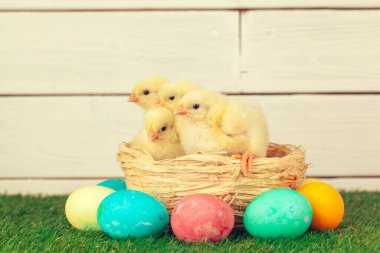 Yeşil çimlerde paskalya yumurtası ve tavuk. Yaratıcı fotoğraf.