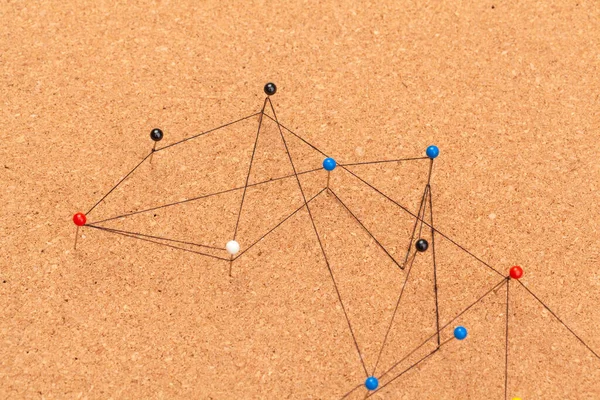 Pini conectați la crearea unei rețele. fotografie creativă . — Fotografie, imagine de stoc