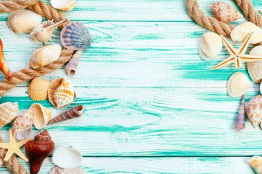 Renkli ahşap zemin üzerinde farklı deniz kabukları