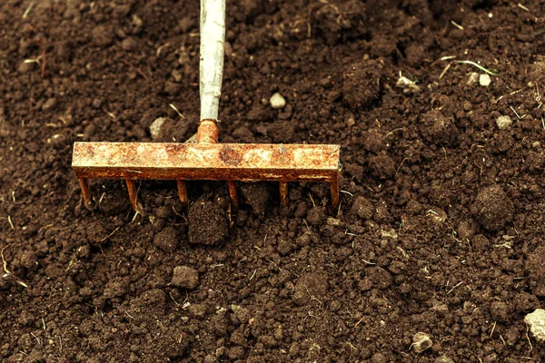 Tiro de cavar en la asignación. Primer plano, Concepto de jardinería — Foto de Stock