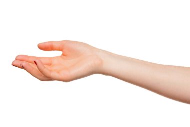 Eller, beyaz arka planda, izole bir şekilde tutmak için açık avuç içi hareketi yapar.