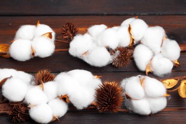 Ahşap arka planda pamuk çiçekli dal