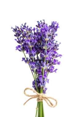 Beyaz arka planda lavanta çiçekleri. Yaratıcı Fotoğraf.