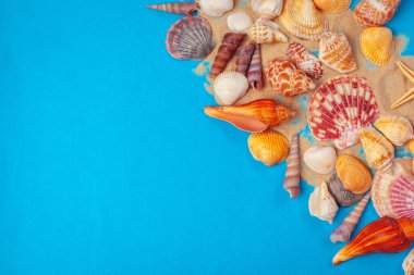 Düz yatıyordu. Üst Manzara. Mavi arkaplanda çeşitli kabukların çerçevesi.