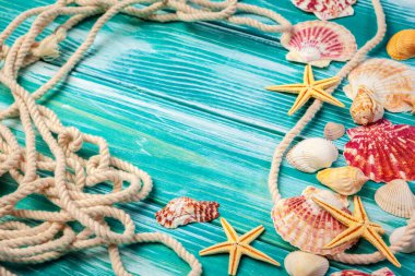 Renkli ahşap zemin üzerinde farklı deniz kabukları