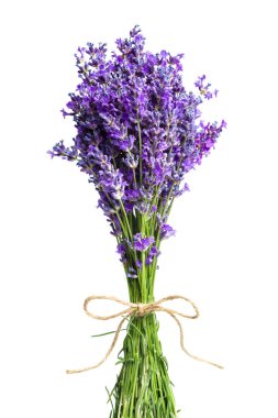 Beyaz arka planda lavanta çiçekleri. Kapat..