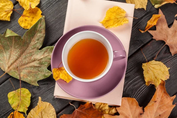 Hojas de otoño, libro y taza de té —  Fotos de Stock