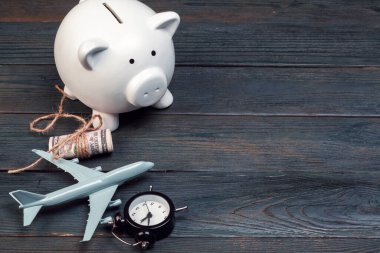 Tatil konsepti seyahat bütçesi için planlama kaydediliyor