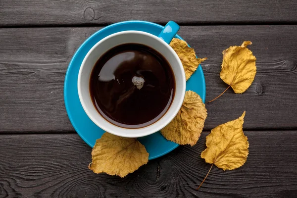 Jesienny poranek tło kompozycji. Niebieski kubek kawy — Zdjęcie stockowe