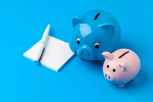 펜을 든 돼지 은행 과 공책 — 스톡 사진