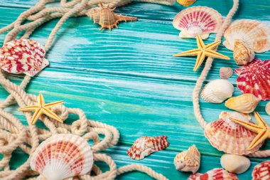 Renkli ahşap zemin üzerinde farklı deniz kabukları