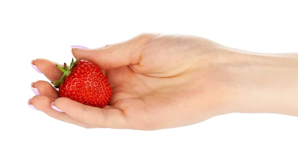 Hand hält eine Erdbeere isoliert auf weißem Hintergrund — Stockfoto