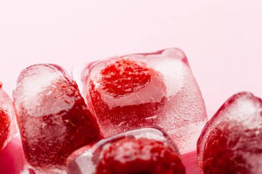 Pembe arkaplanda ahududu buzları