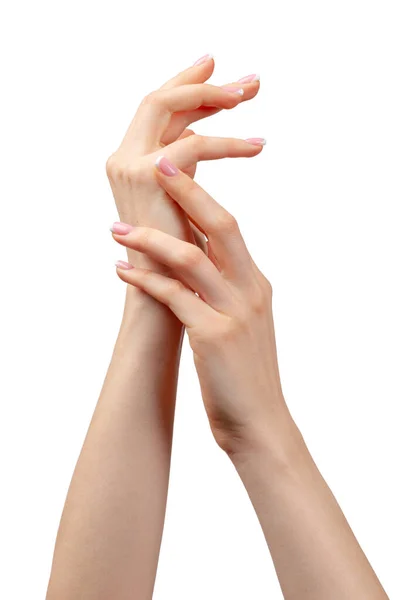 Manos femeninas bien arregladas con manicura sobre fondo blanco —  Fotos de Stock