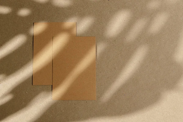 Sobres sobre tabla de corcho con sombra de hoja — Foto de Stock