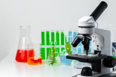 Tıbbi laboratuvar. Test tüpleri ve bitkilerle bilimsel mikroskop