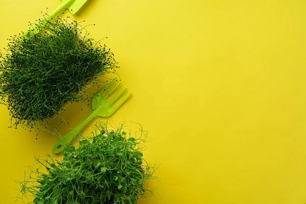 Micro green rostoucí výhonky na žlutém pozadí, horní pohled — Stock fotografie