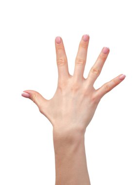 Beyaz arka planda yalıtılmış bir kadın avuç içi