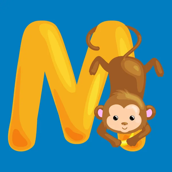 为学龄前孩子 abc 教育动物猴子带字母 M. — 图库矢量图片