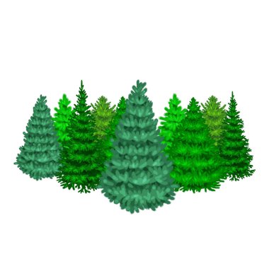 Köknar ve çam tatil dekorasyon, yaprak dökmeyen xmas bitkiler olmadan yeni yıl kutlaması için mavi Ladin gibi Noel vektör ağacının ayarla