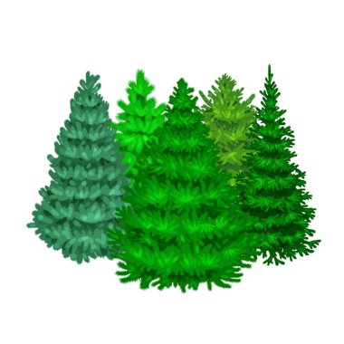 Köknar ve çam tatil dekorasyon, yaprak dökmeyen xmas bitkiler olmadan yeni yıl kutlaması için mavi Ladin gibi Noel vektör ağacının ayarla