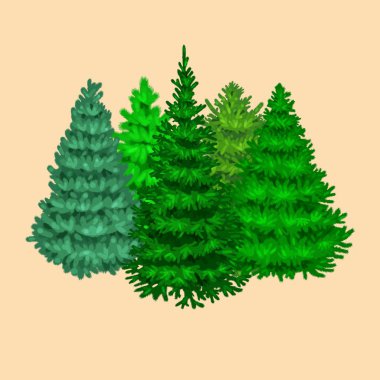 Köknar ve çam tatil dekorasyon, yaprak dökmeyen xmas bitkiler olmadan yeni yıl kutlaması için mavi Ladin gibi Noel vektör ağacının ayarla