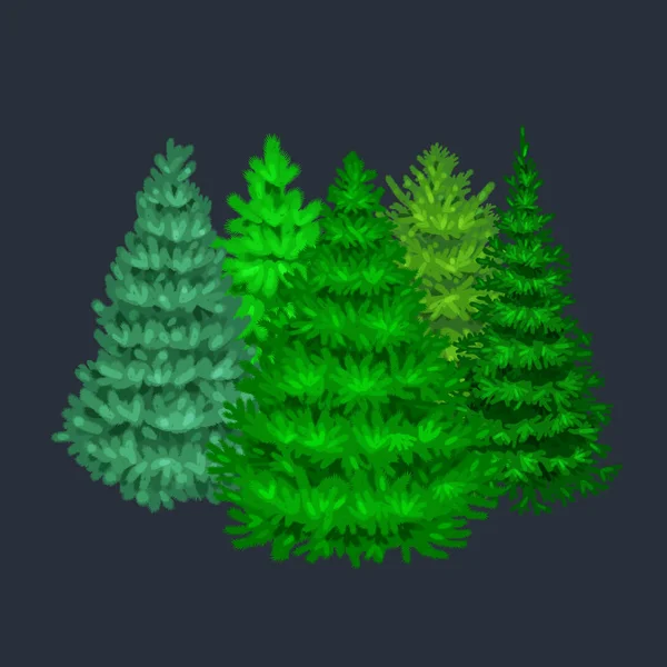 Köknar ve çam tatil dekorasyon, yaprak dökmeyen xmas bitkiler olmadan yeni yıl kutlaması için mavi Ladin gibi Noel vektör ağacının ayarla