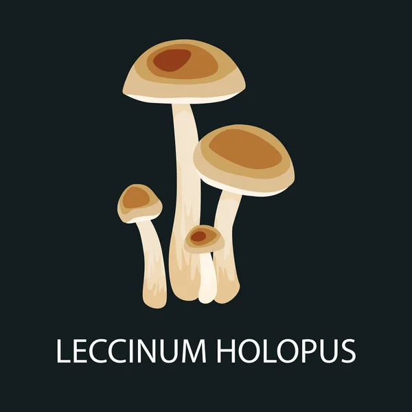 Brown cap boletus leccinum holopus, cogumelo em uma floresta. Selvagem forrageira, Vector isolado comestível cogumelos naturais na natureza conjunto —  Vetores de Stock