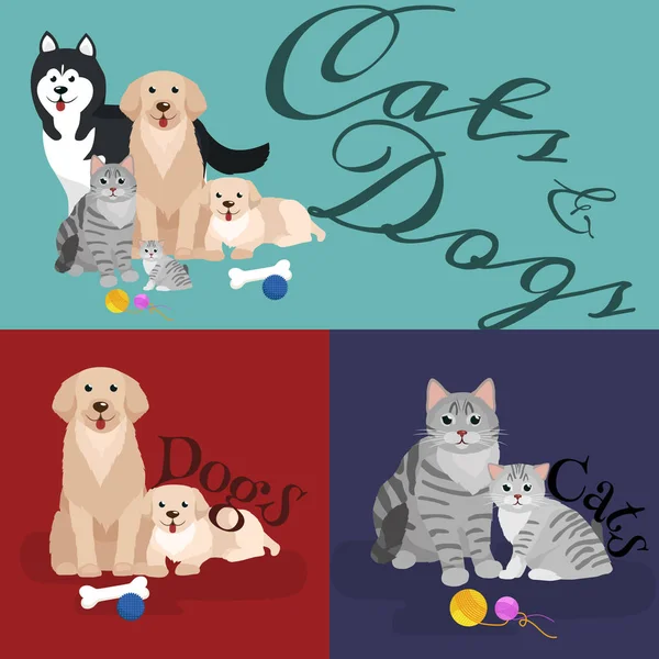 Chat et chien couchés ensemble — Image vectorielle