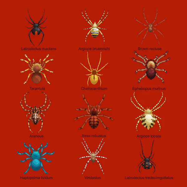 Juego de dibujos animados de arañas, colección de insectos peligrosos — Archivo Imágenes Vectoriales