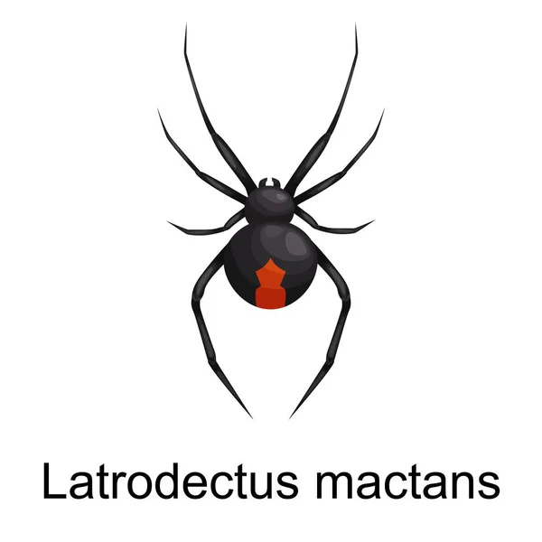 Juego de dibujos animados de arañas, colección de insectos peligrosos — Vector de stock