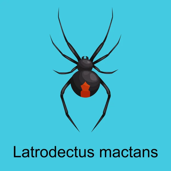 Juego de dibujos animados de arañas, colección de insectos peligrosos — Archivo Imágenes Vectoriales