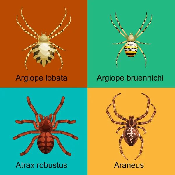 Juego de dibujos animados de arañas, colección de insectos peligrosos — Vector de stock