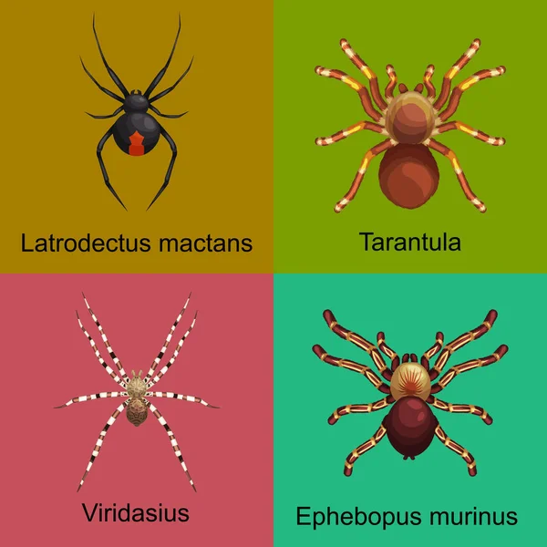 Juego de dibujos animados de arañas, colección de insectos peligrosos — Archivo Imágenes Vectoriales