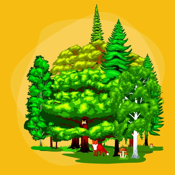 Літня зелена лісова деревина ізольована на білому тлі. Мультфільм Векторний набір дерев у відкритому парку. у гілці, листках і листках. Дикі рослини тварини . — стоковий вектор