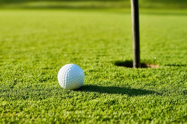 Мяч для гольфа на зеленой . — стоковое фото