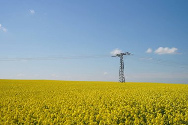 Sarı tecavüz alan ve yüksek gerilim elektrik hatları