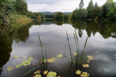 Witley mahkeme Bahçe
