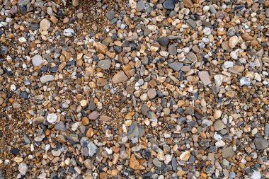 Bir kaya ve çakıl taşına yakın çekim