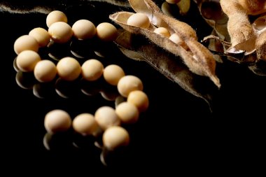 Soya fasulyesi Doları sembolü şekillendirme. Soya Pazar. Tarım soya bakla.