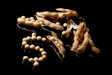 Soya fasulyesi Doları sembolü şekillendirme. Soya Pazar. Tarım soya bakla.